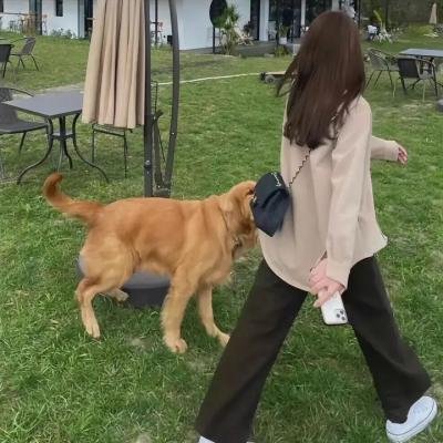 一年的担保