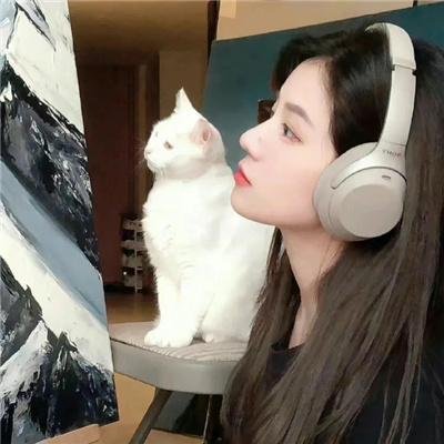 我与妻子的1778个故事